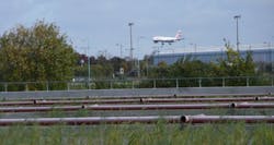 Reed Bed 1 Web Reed Bed 1 Web