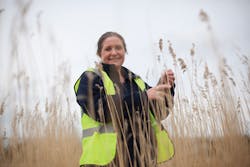 Reed Bed 5 Reed Bed 5
