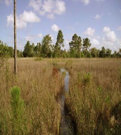 Supply 4 Wetlands 02 Supply 4 Wetlands 02