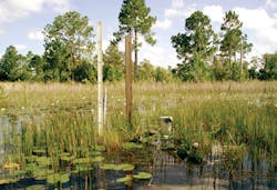 Supply 5 Wetlands 01 Supply 5 Wetlands 01