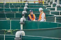 Sustainability Fish Hatchery 1404ww Sustainability Fish Hatchery 1404ww