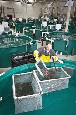 Sustainability Man 1404ww Sustainability Man 1404ww