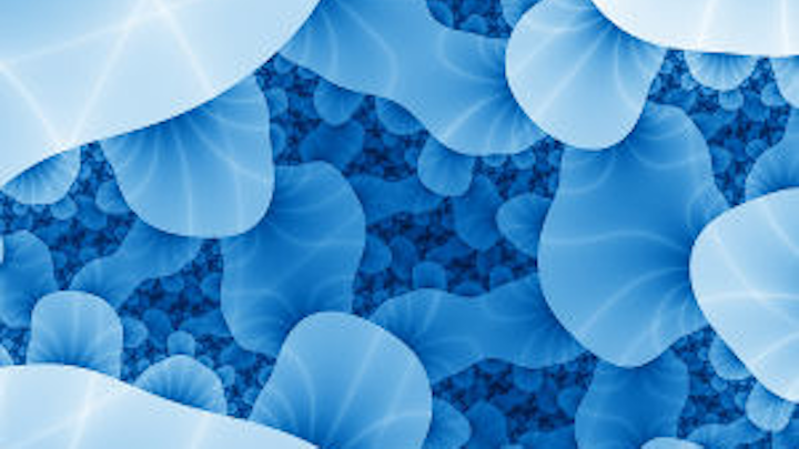 Sxc Bacteria 300