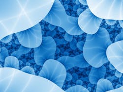 Sxc Bacteria 300 Sxc Bacteria 300