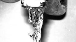 Tap Water Web Tap Water Web