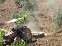 Tariffs Spanish Agricutlure Tariffs Spanish Agricutlure