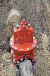 Team 1302ww Team 1302ww