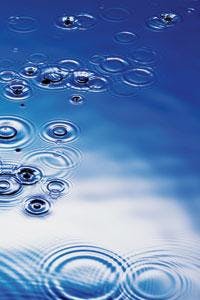 Th 0602wwi1135097 Th 0602wwi1135097