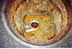 Th 0604bioremediation02 Th 0604bioremediation02