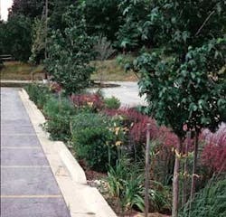 Th 0604lowimpact01 Th 0604lowimpact01