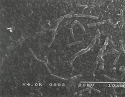 Th 0612wwireverse01 Th 0612wwireverse01