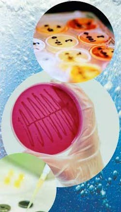 Th 0705wwiworking01 Th 0705wwiworking01