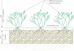 Th 0707wwcoastal04 Th 0707wwcoastal04