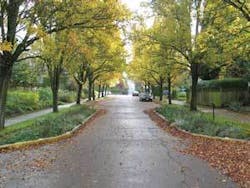 Th 0707wwgreen03 Th 0707wwgreen03