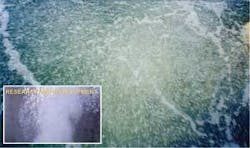 Th 0708wwienhanced03 Th 0708wwienhanced03