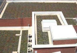 Th 0712mitigating02l Th 0712mitigating02l