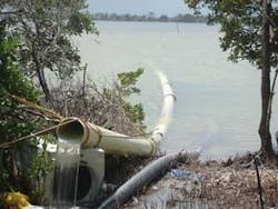 Th 0801wwicertain04 Th 0801wwicertain04