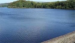 Th 0801wwithomas02 Th 0801wwithomas02