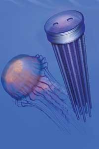 Th 0802uwmshowpreview11 Th 0802uwmshowpreview11