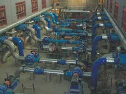 Th 0803mwwtrends01 Th 0803mwwtrends01