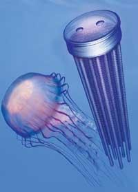 Th 0803wwexhibitor10 Th 0803wwexhibitor10