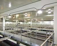 Th 0803wwlightprecast03 Th 0803wwlightprecast03