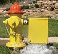 Th 0803wwshowcase02 Th 0803wwshowcase02