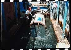 Th 1609ww361 Th 1609ww361