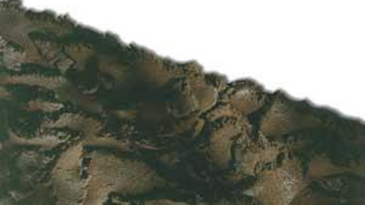 Th 174065