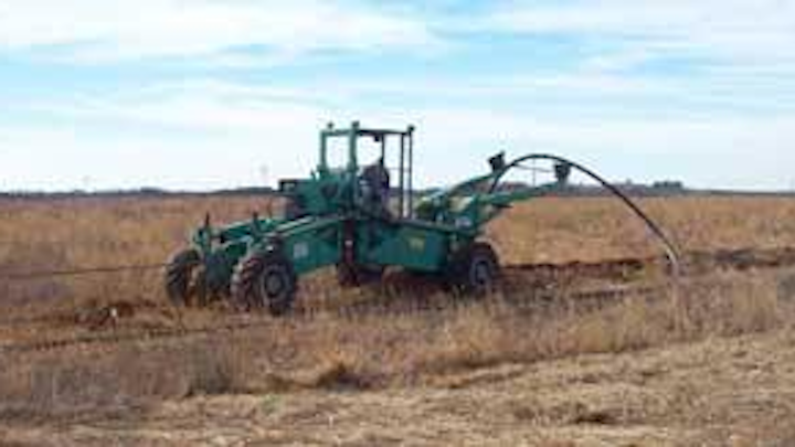 Th 281382
