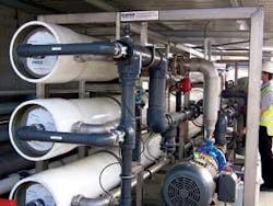 Th Anatomy Of Large 01 Th Anatomy Of Large 01