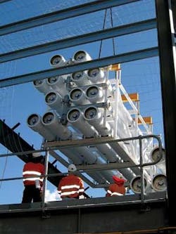 Th Anatomy Of Large 02 Th Anatomy Of Large 02