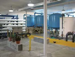 Th Anion 0809 01 Th Anion 0809 01