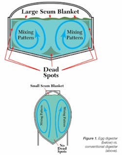 Th Asia Egg 04 Th Asia Egg 04