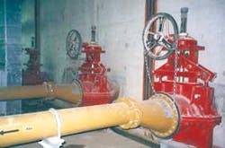 Th Asian Egg 03 Th Asian Egg 03