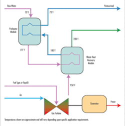 Th Asses 03 Th Asses 03