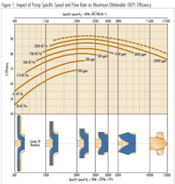 Th Back 0909 01 Th Back 0909 01