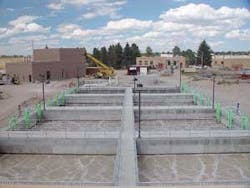 Th Biofilm 0809 01 Th Biofilm 0809 01