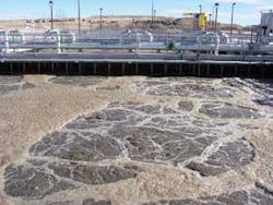 Th Biofilm 0809 02 Th Biofilm 0809 02