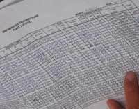 Th Birdnest Clipboardflat Th Birdnest Clipboardflat