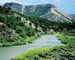 Th Briefs 02 Th Briefs 02