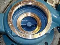 Th Chesterton Picture 2 Th Chesterton Picture 2