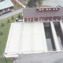 Th Doverolentangy Th Doverolentangy