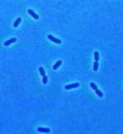 Th Ecolipic Th Ecolipic