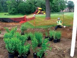 Th Ecolog 06 09 01 Th Ecolog 06 09 01