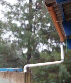 Th Naturalsolution04 Th Naturalsolution04