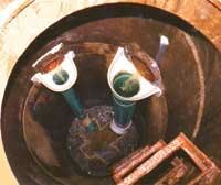 Th New P 01 Th New P 01