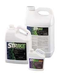 Th New P 0909 02 Th New P 0909 02