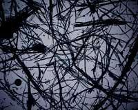 Th Np 07 09 15 Th Np 07 09 15