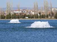 Th P S A 06 Th P S A 06